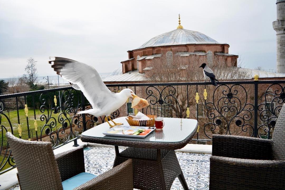 Little Sofia Hotel Стамбул Экстерьер фото